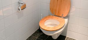 Read more about the article Top 5 Best Wall Hung Toilet Seats In Kenya