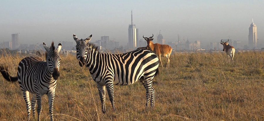 nairobi-best-national-parks-in-kenya
