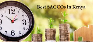 Read more about the article Top 10 Best Saccos in Kenya