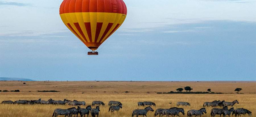 Read more about the article 7 Reasons Why Maasai Mara is the Best Safari Destination in Africa