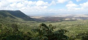 Read more about the article The Rift Valley: Nature’s Playground in Kenya – Wildlife, Culture, and Adventure Awaits