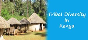 Read more about the article 10 Fascinating Facts About Tribal Diversity in Kenya